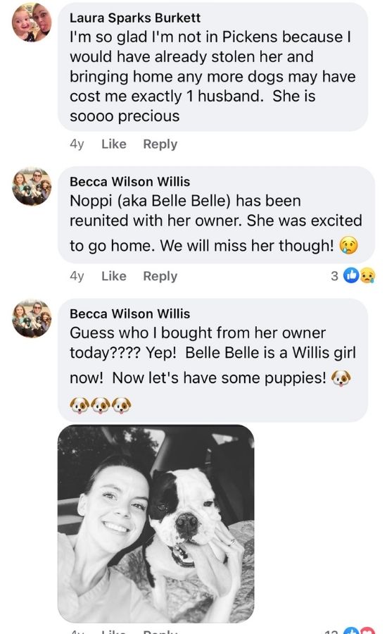 Belle Belle Facebook Comments