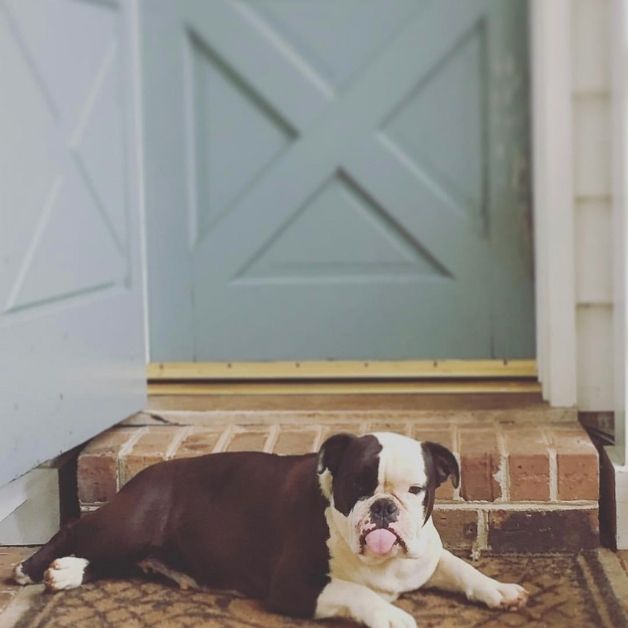 Belle Belle on the front porch