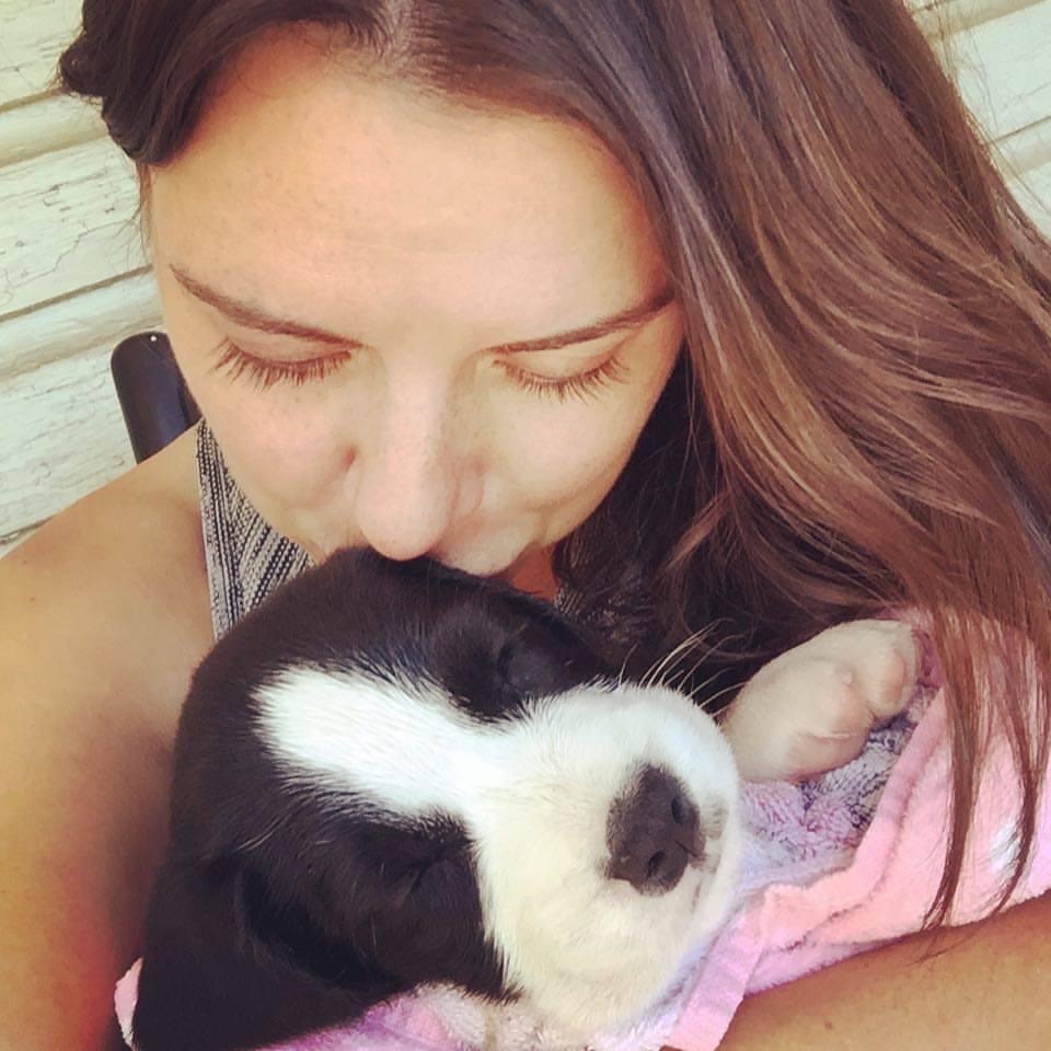 Puppy being held