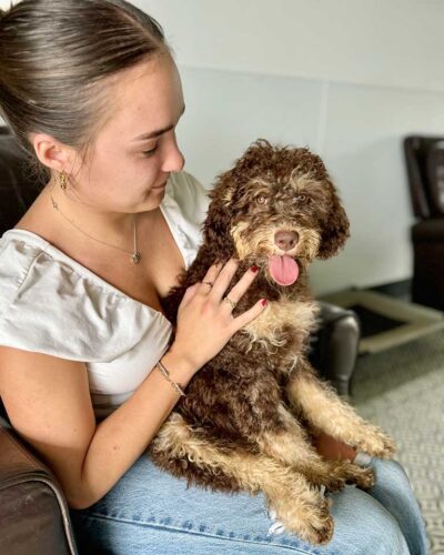 Bernedoodle sitting on a girl's laps