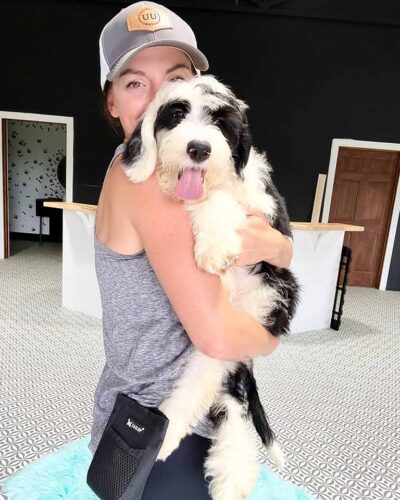 Trainer at Double U Doodles holding one of their Sheepadoodles in her arms for early socialization