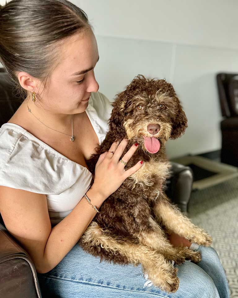 Girl holding a Bernedoodle puppy on her laps