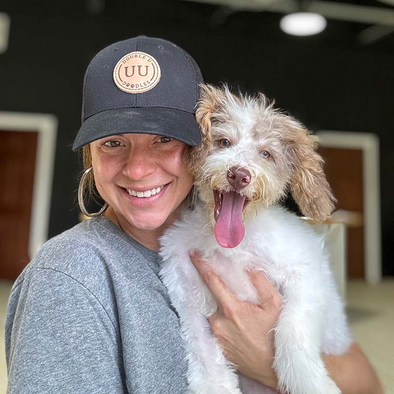 Trainer at Double U Doodles holding one of their mini Sheepadoodle puppies