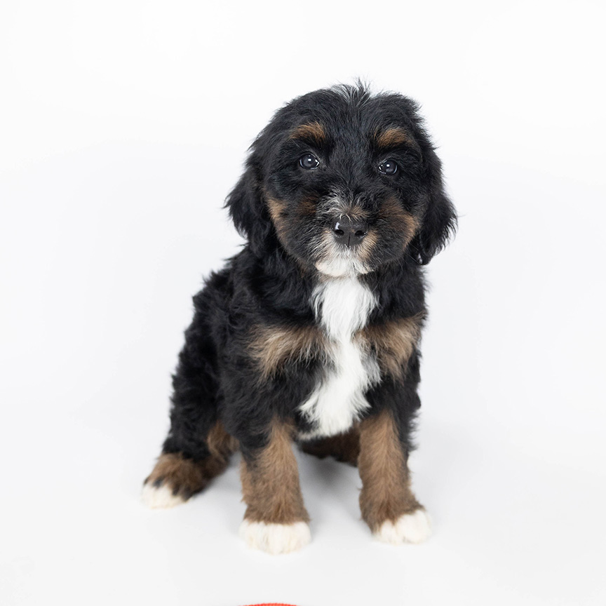 Photo-Nov-21-2025,-1-12-10-PM