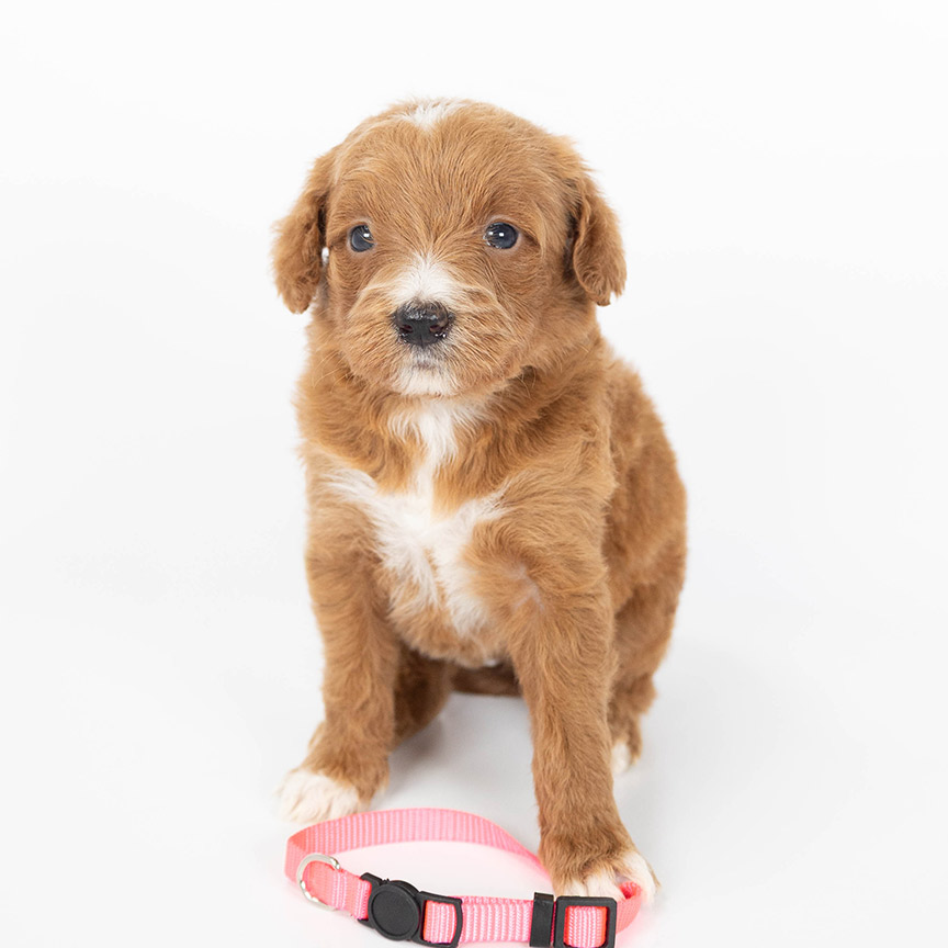 Photo-Nov-21-2025,-11-14-28-AM