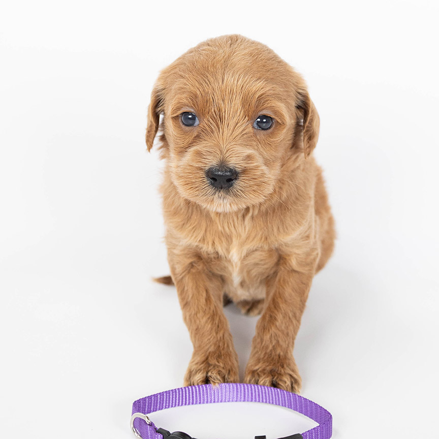 Photo-Nov-21-2025,-11-24-39-AM