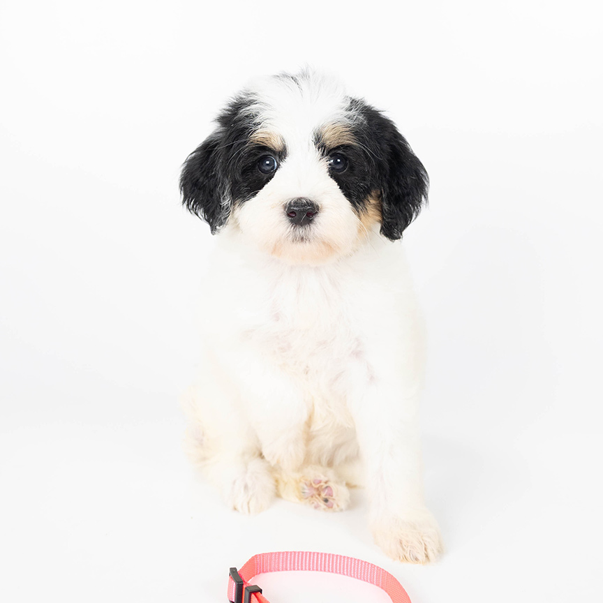 Photo-Nov-26-2025,-2-04-53-PM