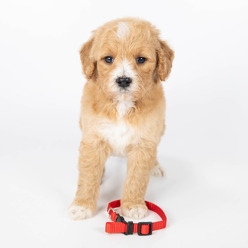 Photo-Nov-26-2025,-12-17-24-PM