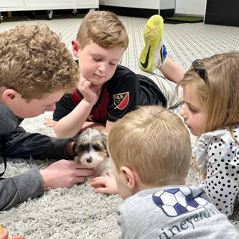 Doodle puppy at Double U Doodles receiving puppy enrichment, by being surrounded by four young children playing with him