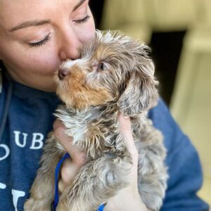 Breeder at Double U Doodles holding and kissing one of their Doodle puppies