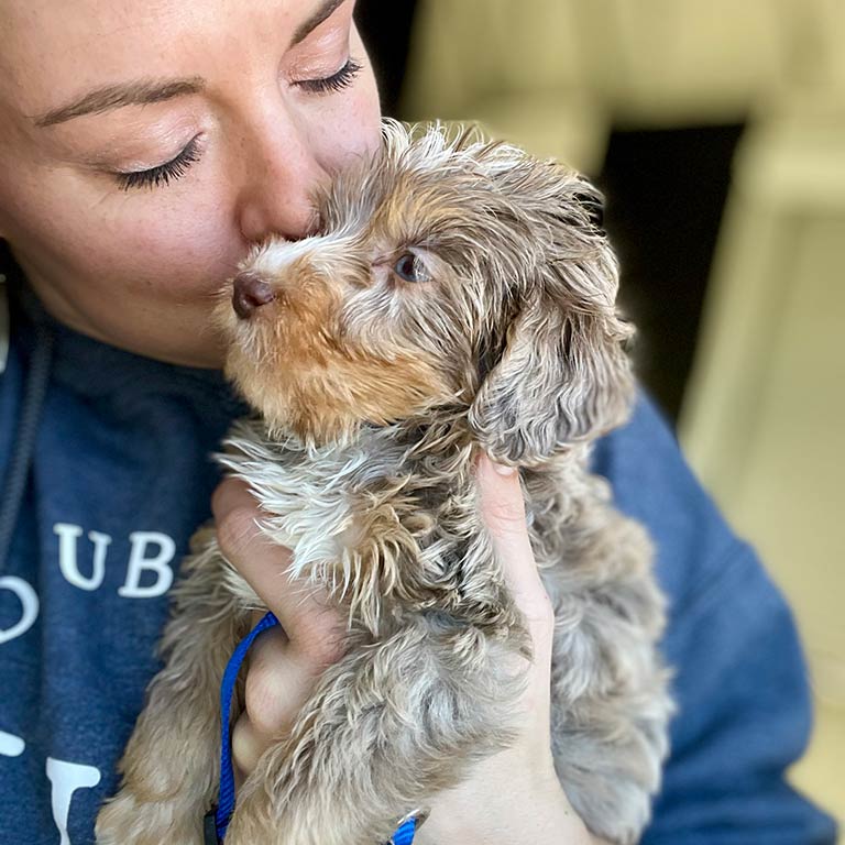 Breeder at Double U Doodles holding and kissing one of their Doodle puppies