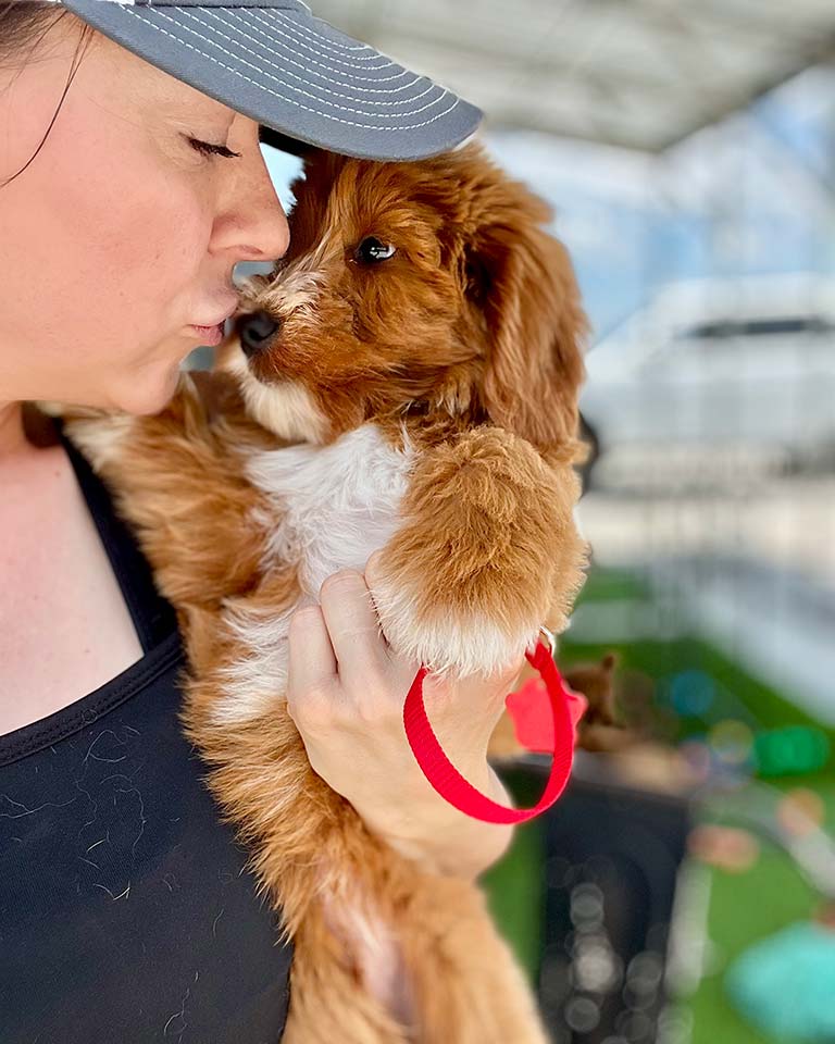 Breeder at Double U Doodles kissing one of their puppies after teaching him dog park etiquette
